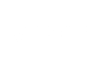 Stormcraft Studios mängudega kasiinod logo